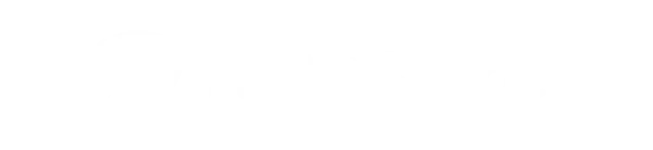 logo-fly600
